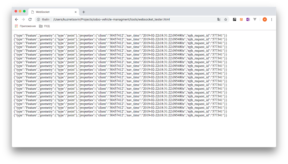 результат работы ws